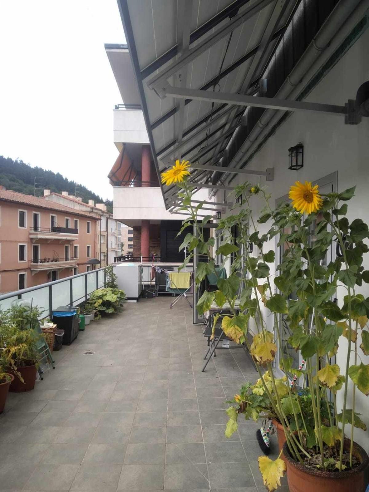 Aldabea II Apartamento Sostenible Legazpia Ngoại thất bức ảnh